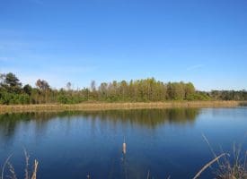 SOLD!  112 Acres of Farm and Recreational Land For Sale in Robeson County NC!