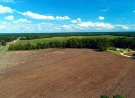 SOLD!!  19 Acres of Farm Land For Sale in Robeson County NC!