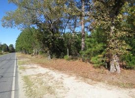 SOLD!!  58 Acres of Farm and Timber Land For Sale in Scotland County NC!