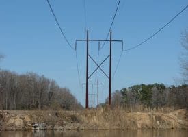 SOLD!!  50 Acres of Farm and Timber Land For Sale in Robeson County NC!
