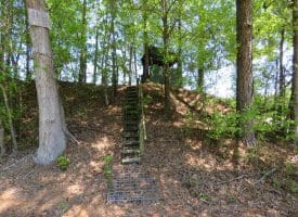 SOLD!! 76 Acres of Farm and Timber Land For Sale in Robeson County NC!