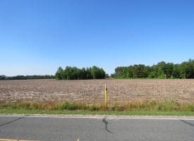 SOLD!! 380 Acres of Farm and Timber Land For Sale in Robeson and Hoke Counties!