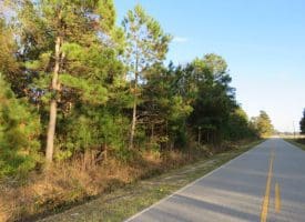 SOLD!  112 Acres of Farm and Recreational Land For Sale in Robeson County NC!