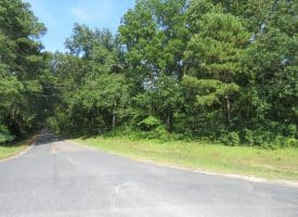SOLD!! 25 Acres of Timber Land For Sale in Hoke County NC!