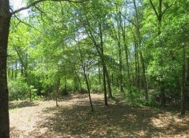 SOLD!!  1.33 Acres with Home For Sale in Sampson County NC!