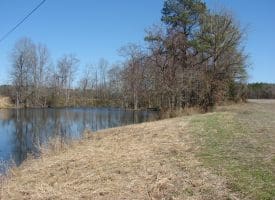 SOLD!!  50 Acres of Farm and Timber Land For Sale in Robeson County NC!