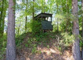 SOLD!! 76 Acres of Farm and Timber Land For Sale in Robeson County NC!