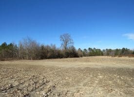 SOLD!!  70 Acres of Farm and Timber Land For Sale in Hoke County NC!