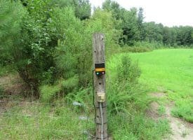 SOLD!!  101 Acres of Hunting Land For Sale in Cumberland County NC!