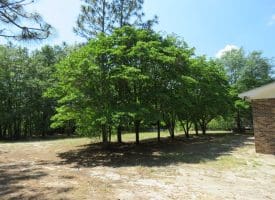 SOLD!!  1.33 Acres with Home For Sale in Sampson County NC!