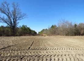 SOLD!!  70 Acres of Farm and Timber Land For Sale in Hoke County NC!