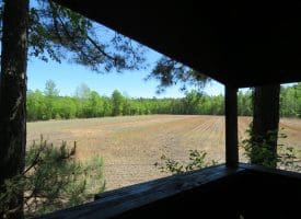 SOLD!! 76 Acres of Farm and Timber Land For Sale in Robeson County NC!