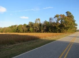 SOLD!  112 Acres of Farm and Recreational Land For Sale in Robeson County NC!