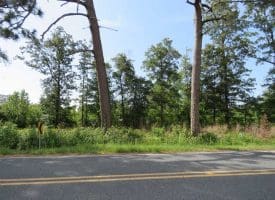 SOLD!!  70 Acres of Farm and Timber Land For Sale in Scotland County NC!