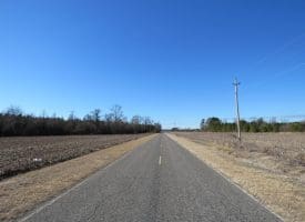 SOLD!!  70 Acres of Farm and Timber Land For Sale in Hoke County NC!
