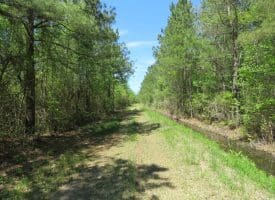 SOLD!! 76 Acres of Farm and Timber Land For Sale in Robeson County NC!