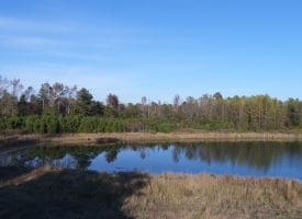 SOLD!  112 Acres of Farm and Recreational Land For Sale in Robeson County NC!