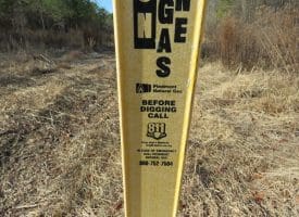 SOLD!!  70 Acres of Farm and Timber Land For Sale in Hoke County NC!