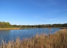 SOLD!  112 Acres of Farm and Recreational Land For Sale in Robeson County NC!