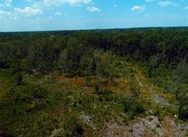 SOLD!!  10 Acres of Residential and Hunting Land For Sale in Moore County NC!