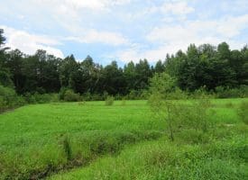 SOLD!!  101 Acres of Hunting Land For Sale in Cumberland County NC!