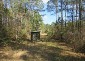 SOLD!!  138 +/- Acres of Farm and Timber Land For Sale in Brunswick County NC!