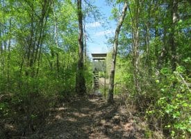 SOLD!! 76 Acres of Farm and Timber Land For Sale in Robeson County NC!