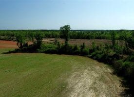 SOLD!!  20 Acres of Farm and Hunting Land For Sale in Robeson County NC!
