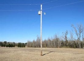 SOLD!!  110 Acres of Farm and Timber Land For Sale in Columbus County NC!