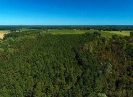 SOLD!!  97 Acres of Farm and Timber Land For Sale in Columbus County NC!