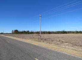 SOLD!!  70 Acres of Farm and Timber Land For Sale in Hoke County NC!