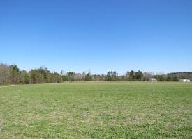SOLD!!  58 Acres of Farm and Timber Land For Sale in Robeson County NC!