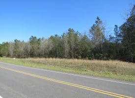 SOLD!!  138 +/- Acres of Farm and Timber Land For Sale in Brunswick County NC!