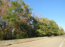 SOLD!!  122 Acres of Duck Hunting Land For Sale in Robeson County NC!