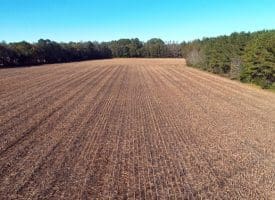 SOLD!!  18 Acres of Farm and Timber Land For Sale in Robeson County NC!