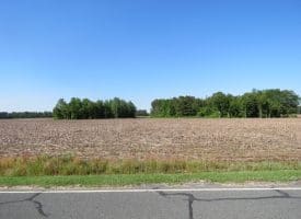 SOLD!! 380 Acres of Farm and Timber Land For Sale in Robeson and Hoke Counties!