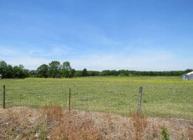 SOLD!!  113 Acres of Farm and Timber Land For Sale in Robeson County NC!
