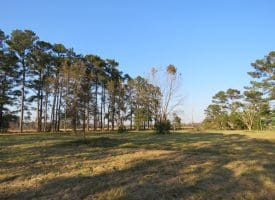 SOLD!!  106 Acres of Residential Farm and Timber Land For Sale in Sampson County NC!