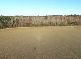SOLD!!  47 Acres of Farm and Timber Land For Sale in Columbus County NC!