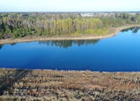 SOLD!  112 Acres of Farm and Recreational Land For Sale in Robeson County NC!