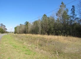 SOLD!!  138 +/- Acres of Farm and Timber Land For Sale in Brunswick County NC!