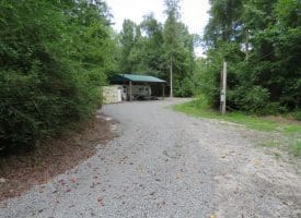 SOLD!!  101 Acres of Hunting Land For Sale in Cumberland County NC!