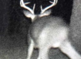SOLD!!  70 Acres of Farm and Timber Land For Sale in Scotland County NC!