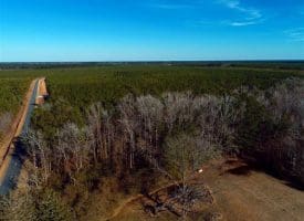 SOLD!!  2.45 Acres of Residential Land For Sale in Pender County NC!