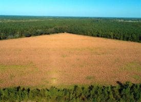 SOLD!!  20 Acres of Farm Land For Sale in Robeson County NC!