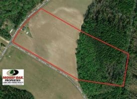 SOLD!!  30 Acres of Residential Farm and Timber Land For Sale in Robeson County NC!