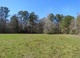 SOLD!!  110 Acres of Farm and Timber Land For Sale in Columbus County NC!