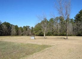 SOLD!!  110 Acres of Farm and Timber Land For Sale in Columbus County NC!