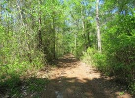 SOLD!!  9 Acres of Residential and Hunting Land in Pender County NC!