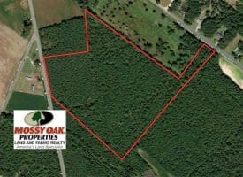 SOLD!!  29 Acres of Hunting and Timber Land For Sale in Robeson County NC!